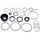 Purchase Top-Quality SUNSONG NORTH AMERICA - 8401359 - Steering Gear Seal Kit pa1
