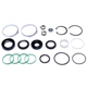 Purchase Top-Quality SUNSONG NORTH AMERICA - 8401432 - Rack and Pinion Seal Kits pa1