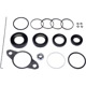Purchase Top-Quality SUNSONG NORTH AMERICA - 8401509 - Rack and Pinion Seal Kit pa1