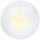 Purchase Top-Quality Step Or Courtesy Light by SYLVANIA - 168LED.BP pa10