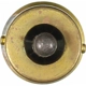 Purchase Top-Quality WAGNER - 98 - Step Or Courtesy Light (Pack of 10) pa3