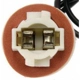 Purchase Top-Quality Step or Courtesy Socket by DORMAN/TECHOICE - 645-573 pa13