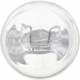 Purchase Top-Quality PHILIPS - 7443CP - Stop Light (Pack of 10) pa49