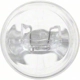 Purchase Top-Quality PHILIPS - 7443CP - Stop Light pa47
