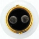 Purchase Top-Quality Stop Light by SYLVANIA - 2357.TP pa42