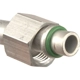 Purchase Top-Quality Suction And Discharge Assembly by FOUR SEASONS - 55480 pa14