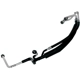 Purchase Top-Quality GLOBAL PARTS DISTRIBUTORS - 4811510 - Hose Manifold Line pa1