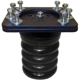 Purchase Top-Quality Ressorts Sumo-Springs par SUPERSPRINGS - SSR-307-47 pa1