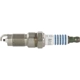 Purchase Top-Quality Suppressor Copper Plug by MOTORCRAFT - SP412X pa1