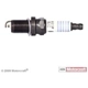 Purchase Top-Quality Suppressor Copper Plug by MOTORCRAFT - SP424 pa13