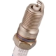 Purchase Top-Quality Suppressor Spark Plug by MOTORCRAFT - SP471 pa5