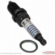 Purchase Top-Quality Suppressor Spark Plug by MOTORCRAFT - SP485 pa13