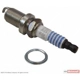Purchase Top-Quality Suppressor Spark Plug by MOTORCRAFT - SP497 pa4