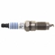 Purchase Top-Quality Suppressor Spark Plug by MOTORCRAFT - SP498X pa1