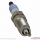 Purchase Top-Quality Suppressor Spark Plug by MOTORCRAFT - SP506 pa8
