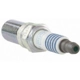 Purchase Top-Quality Suppressor Spark Plug by MOTORCRAFT - SP530X pa1