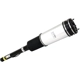Purchase Top-Quality ARNOTT - AS2194 - Air Suspension Strut pa1