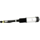 Purchase Top-Quality ARNOTT - AS2194 - Air Suspension Strut pa2