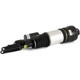 Purchase Top-Quality ARNOTT - AS2295 - Air Suspension Strut pa1