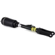 Purchase Top-Quality ARNOTT - AS2463 - Air Suspension Strut pa4