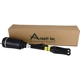 Purchase Top-Quality ARNOTT - AS2463 - Air Suspension Strut pa8