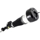 Purchase Top-Quality ARNOTT - AS2547 - Air Suspension Strut pa1