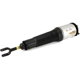 Purchase Top-Quality ARNOTT - AS2561 - Air Suspension Strut pa1