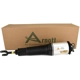 Purchase Top-Quality ARNOTT - AS2561 - Air Suspension Strut pa4
