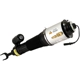 Purchase Top-Quality ARNOTT - AS2580 - Air Suspension Strut pa1
