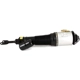 Purchase Top-Quality ARNOTT - AS2581 - Air Suspension Strut pa1