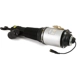 Purchase Top-Quality ARNOTT - AS2581 - Air Suspension Strut pa4