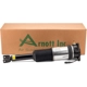 Purchase Top-Quality ARNOTT - AS2959 - Air Suspension Strut pa5