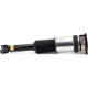 Purchase Top-Quality ARNOTT - AS2965 - Air Suspension Strut pa5