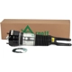 Purchase Top-Quality ARNOTT - AS3038 - Air Suspension Strut pa7