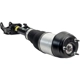Purchase Top-Quality ARNOTT - AS3061 - Air Suspension Strut pa3