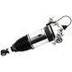 Purchase Top-Quality ARNOTT - AS3167 - Air Suspension Strut pa1
