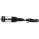 Purchase Top-Quality Suspension Air Strut by ARNOTT - AS3248 pa2