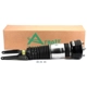 Purchase Top-Quality ARNOTT - AS3346 - Air Suspension Strut pa4