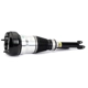 Purchase Top-Quality ARNOTT - AS3359 - Air Suspension Strut pa5