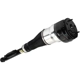 Purchase Top-Quality ARNOTT - AS3360 - Air Suspension Strut pa2