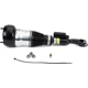 Purchase Top-Quality ARNOTT - AS3367 - Air Suspension Strut pa1