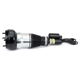 Purchase Top-Quality ARNOTT - AS3367 - Air Suspension Strut pa13