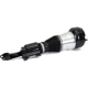Purchase Top-Quality ARNOTT - AS3367 - Air Suspension Strut pa3