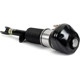 Purchase Top-Quality ARNOTT - AS3370 - Air Suspension Strut pa1