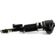 Purchase Top-Quality ARNOTT - AS3370 - Air Suspension Strut pa2