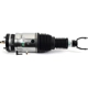 Purchase Top-Quality ARNOTT - AS3618 - Air Suspension Strut pa17