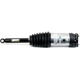 Purchase Top-Quality ARNOTT - AS3750 - Air Suspension Strut pa3