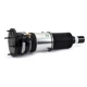 Purchase Top-Quality ARNOTT - ASE3821 - Electronic Air Strut pa3