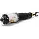 Purchase Top-Quality Suspension Air Strut by ARNOTT - AS2893 pa7