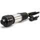 Purchase Top-Quality Suspension Air Strut by ARNOTT - AS3000 pa4
